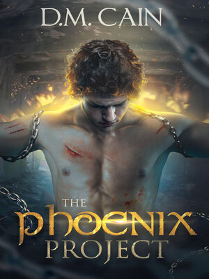 cover image of The Phoenix Project